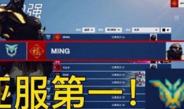 最新爆料国服,神秘游戏内容即将揭晓，玩家期待值飙升！